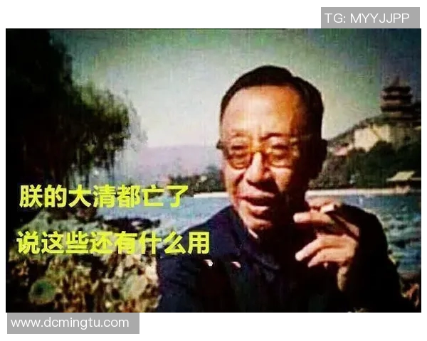 邓伯什与全球科技巨头的对决与合作探索新篇章